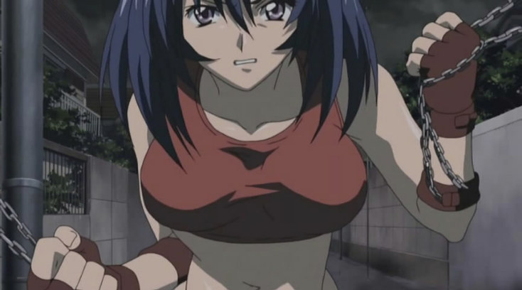 Ikkitousen: Dragon Destiny