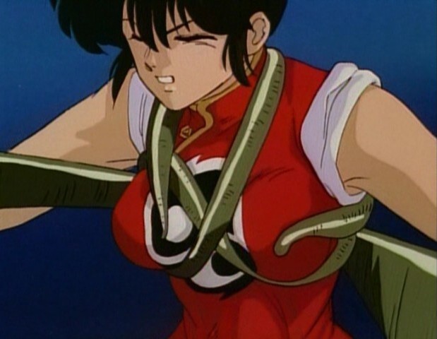 Devil Hunter Yohko - Wikipedia