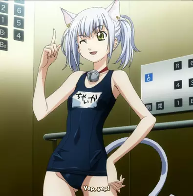 Genre:Anime Season:Cat_Planet_Cuties Series:Cat_Planet_Cuties // 1274x1289 // 200.9KB
